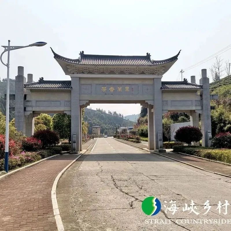福安坦洋村：振兴茶产业 争当“领头羊”