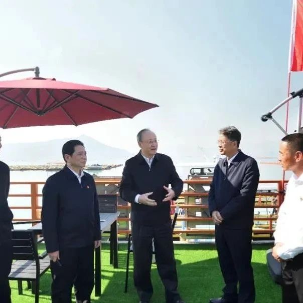 省委书记尹力到下白石调研