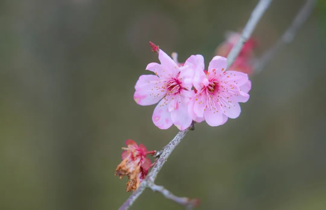 20210320-DSC01989.jpg