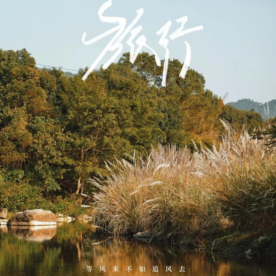 周末露营天花板，来福安“野” 一天！