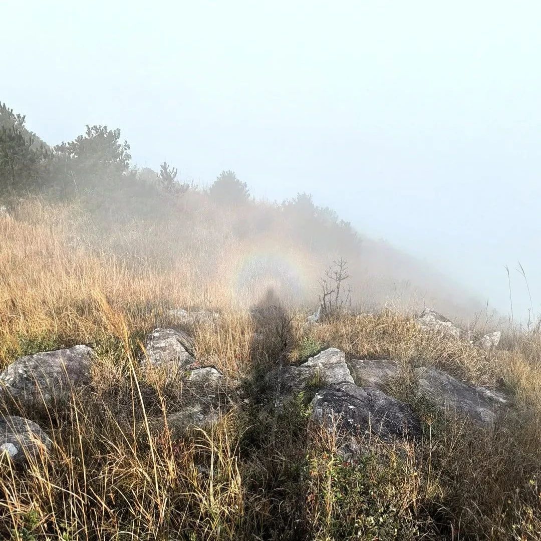 今天，福安白云山上现“佛光”！