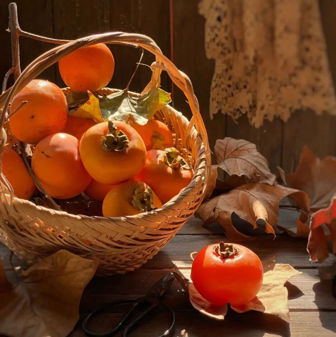 今天11时51分，福安正式进入……