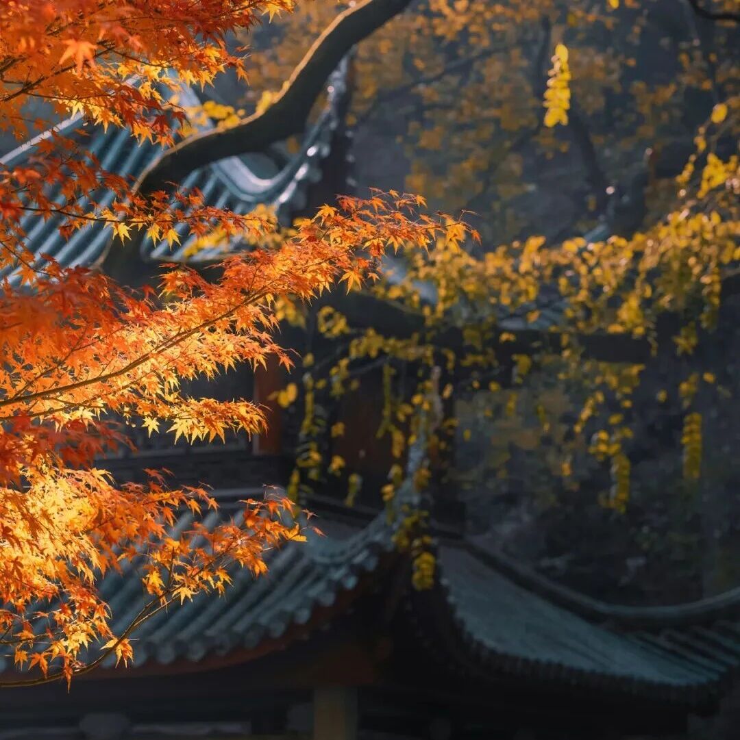 今天12时04分，福安正式进入……