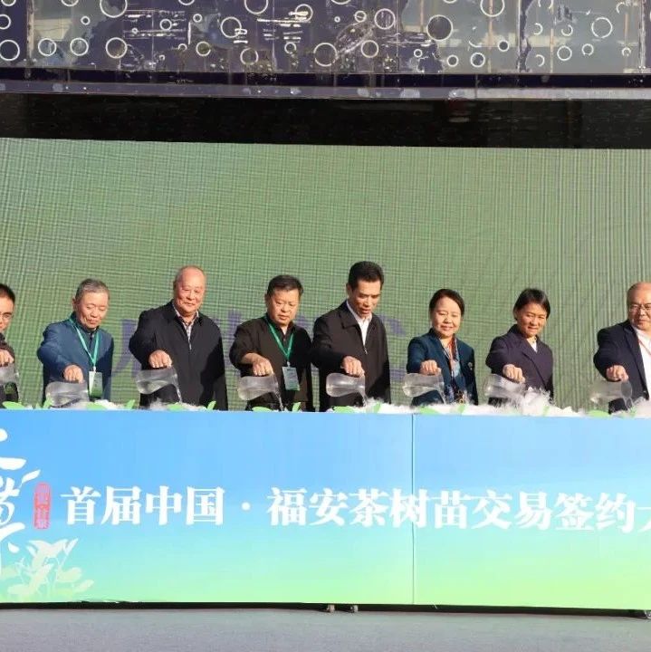 首届中国·福安茶树苗交易签约大会开幕