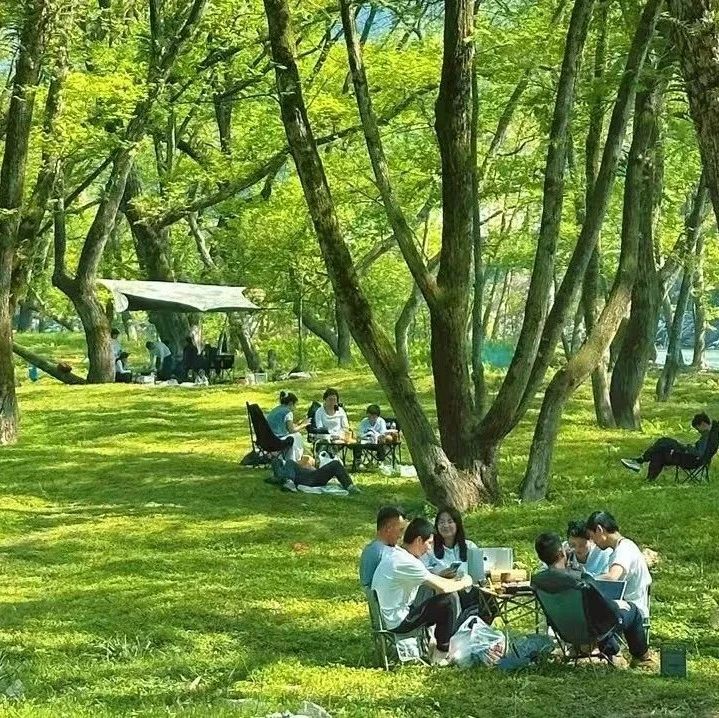 溪潭镇上湾村变身“网红露营地”绘就乡村振兴新图景
