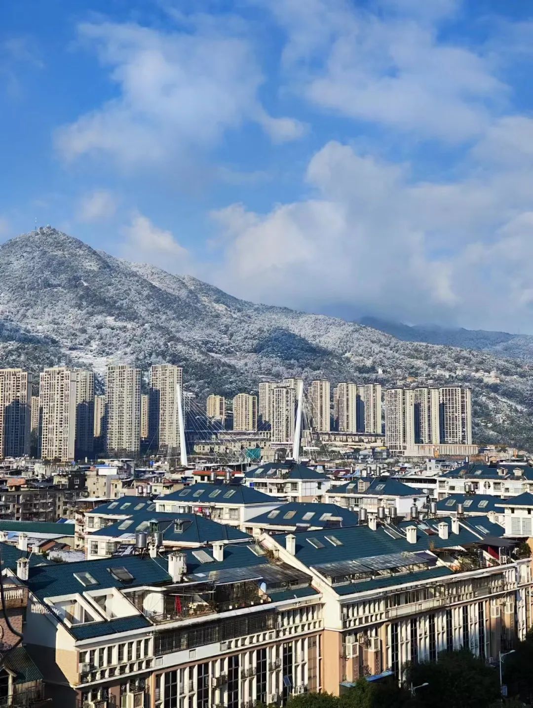 今天早上的福安市区银装素裹分外妖娆