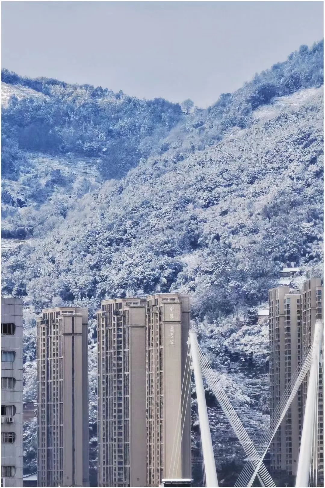 今天早上的福安市区银装素裹分外妖娆