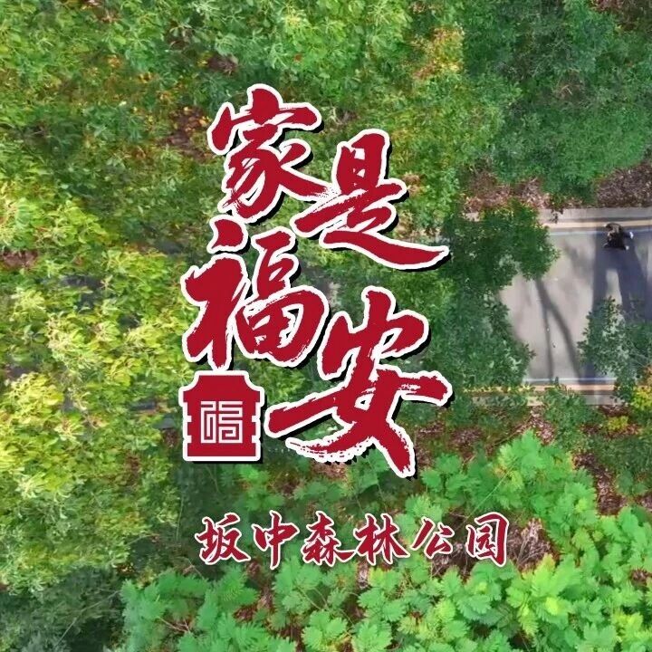 家是福安 | 走进坂中森林公园，来一场“森”呼吸之旅吧！