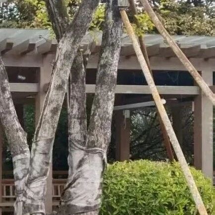 福安“静音哨兵”首次在这里亮相！