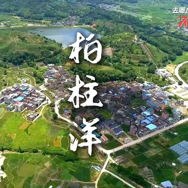 一起走进溪柄柏柱洋，遇见不一样的红色福安！