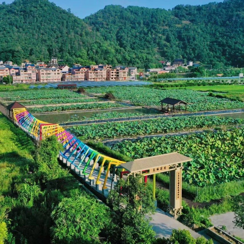 福地寻福·我的家乡我来推 | 溪柄镇：「潮」出花样！这个宝藏地让00后都追着打卡！