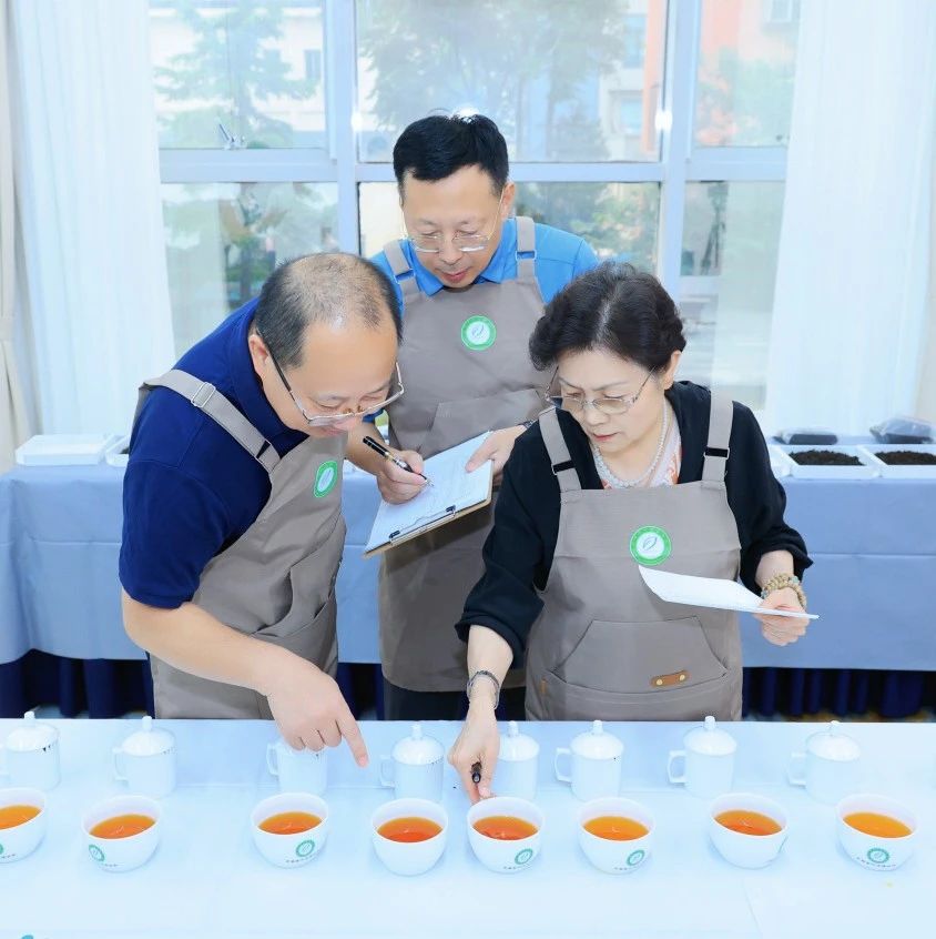 2025坦洋工夫红茶产品调查活动在京成功举办