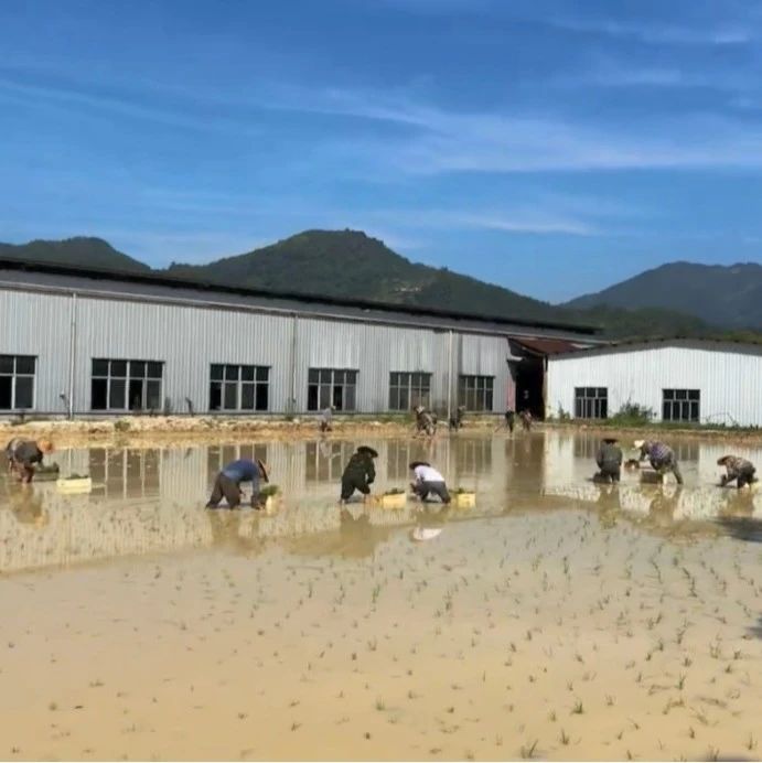 穆阳有块曾经废弃的土地，如今已大变样……