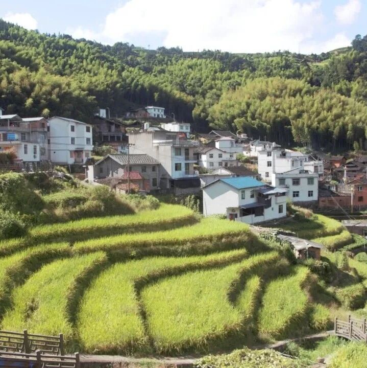 这场“绿海”寻访，就在松罗！