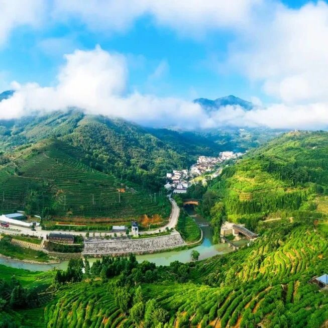 “大坦洋” | 大联合托起“共富梦”