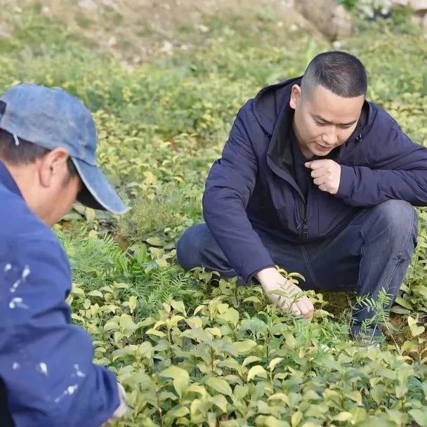 福安：人才聚起来 产业旺起来