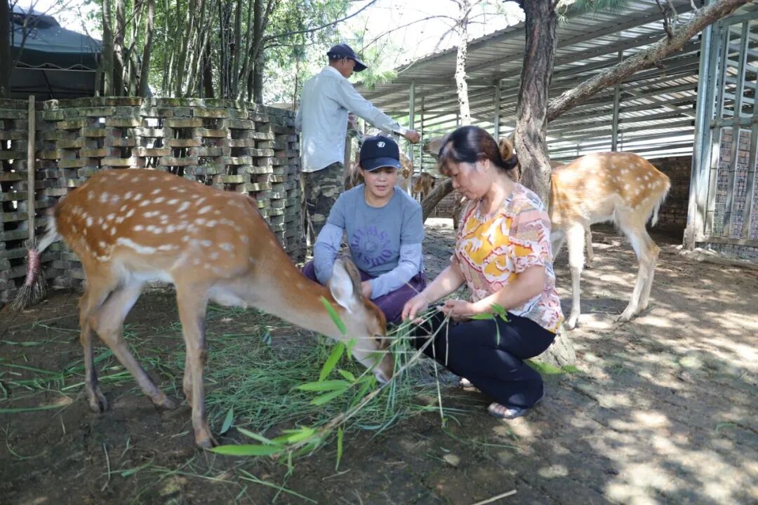 cf5b4b5008cbfe54fdb34f86f5f34216