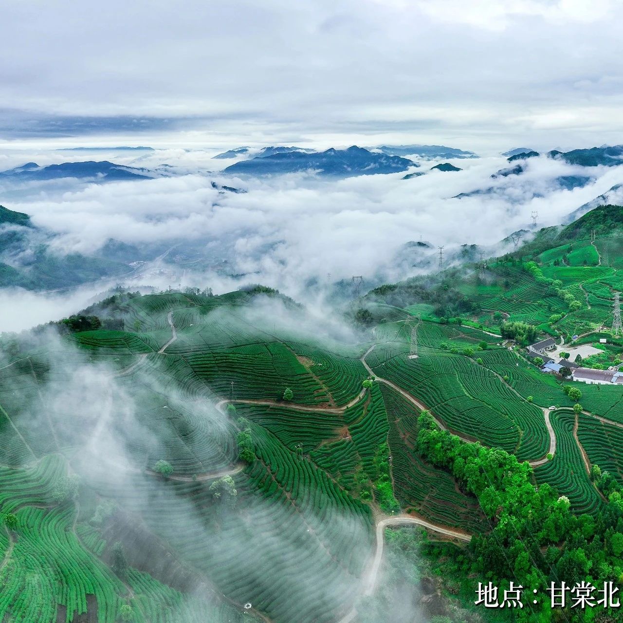 早安福安｜北门茶场 风光旖旎
