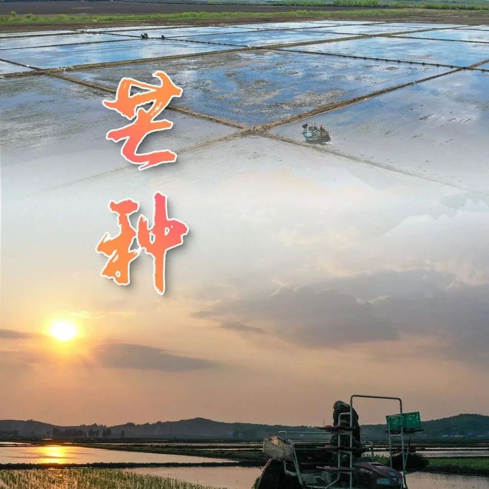 今天17时57分！福安正式进入……