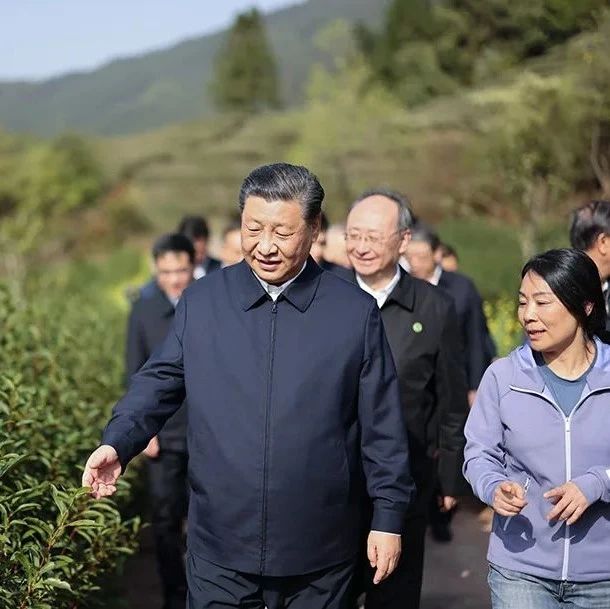 习近平总书记与“茶”的故事