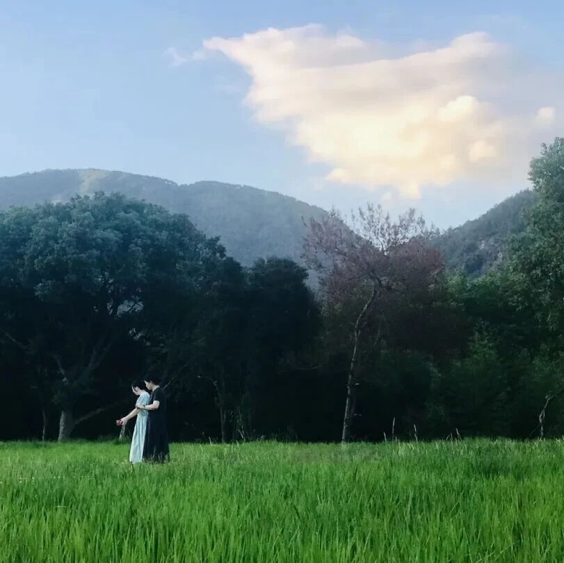 赴一场稻田之约，在穆阳定格绿色浪漫~