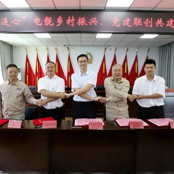 电力赋能山乡巨变——记国网福建电力驻村第一书记陈祥波的乡村振兴实践