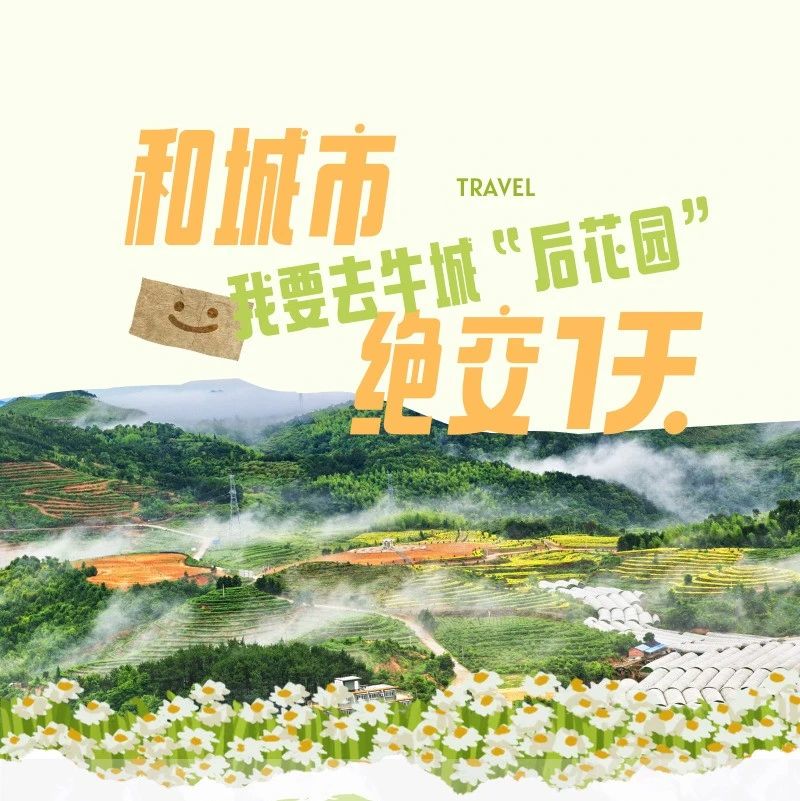 和钢筋水泥绝交1天！我要去赛岐“后花园”