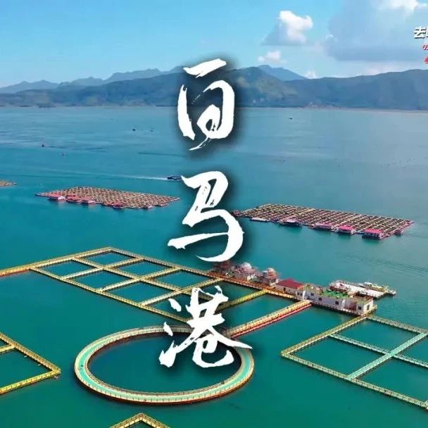 来白马港，开启一场山海之间的浪漫之旅~