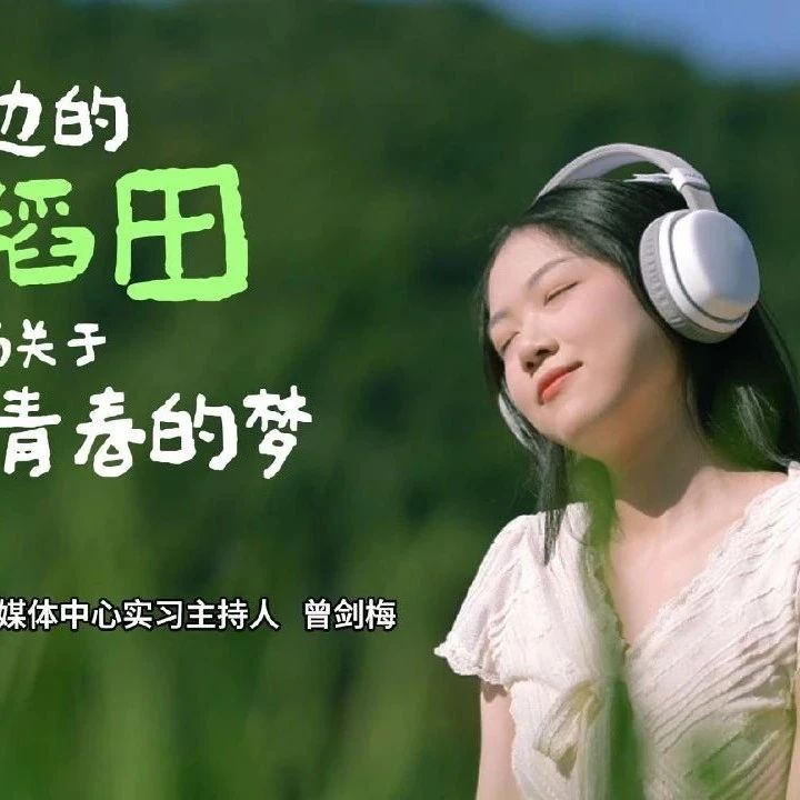 速来！盛夏将尽，福安廉村稻田又悄悄火了！