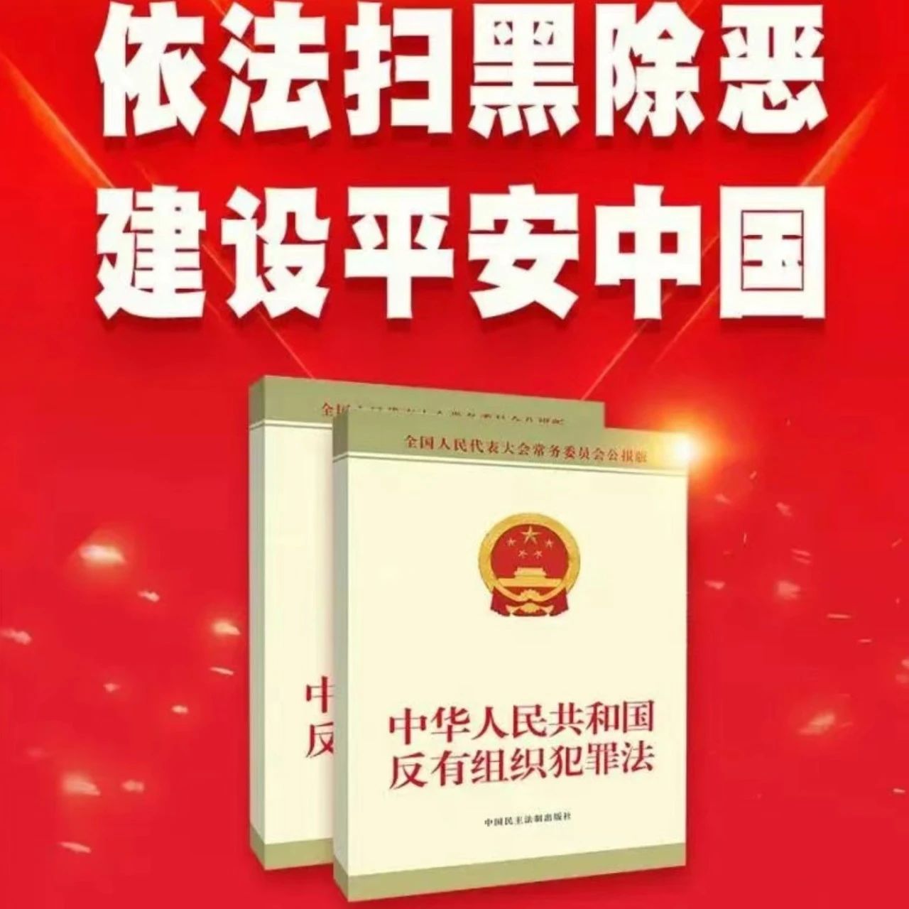 一图看懂《中华人民共和国反有组织犯罪法》