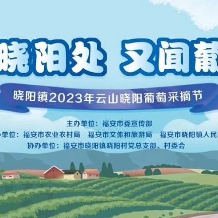 2023年云山晓阳葡萄采摘节将于9月10日开幕！