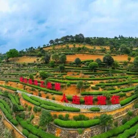 大坦洋：七村共煮一壶茶