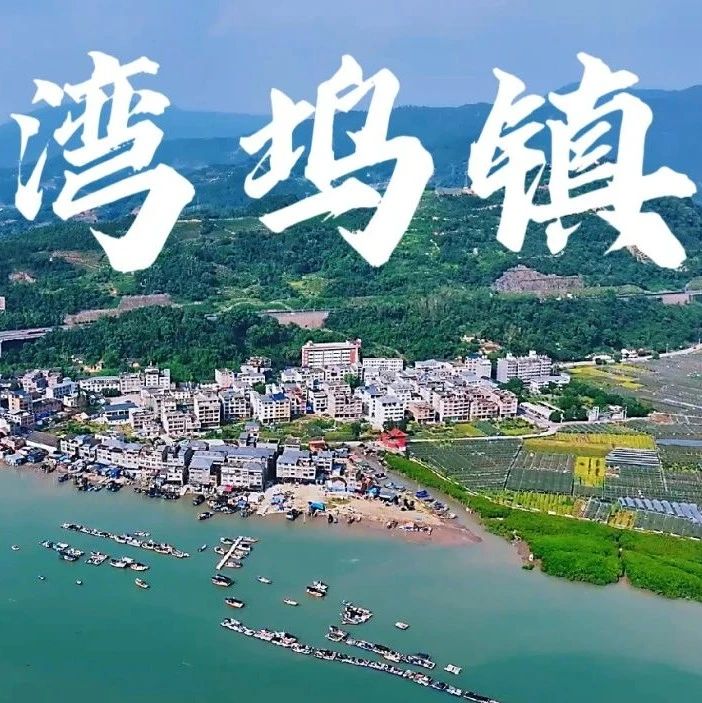福地寻福·我的家乡我来推 | 你好，我叫湾坞镇，这是我的最新简历