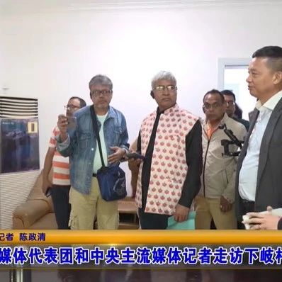 印度媒体代表团和中央主流媒体记者走访下岐村