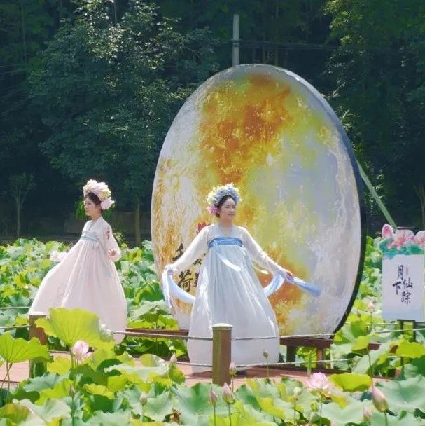 是什么美景？吸引他们聚集到福安溪尾林江村……