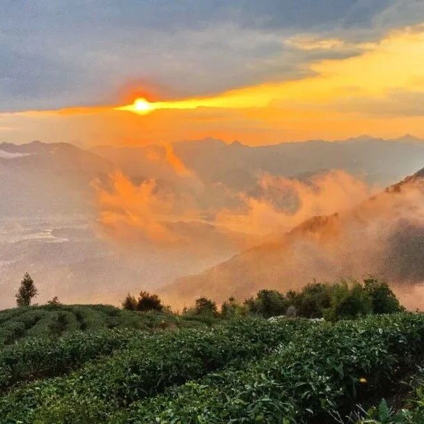 重阳登高正当时，且看赛岐680→