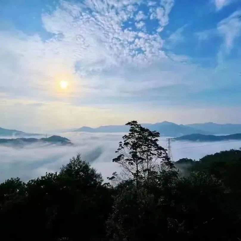福地寻福·我的家乡我来推 | 藏在城阳深山里的世外桃源——棕树山
