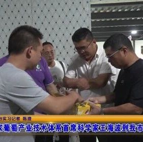 国家葡萄产业技术体系首席科学家王海波到福安调研