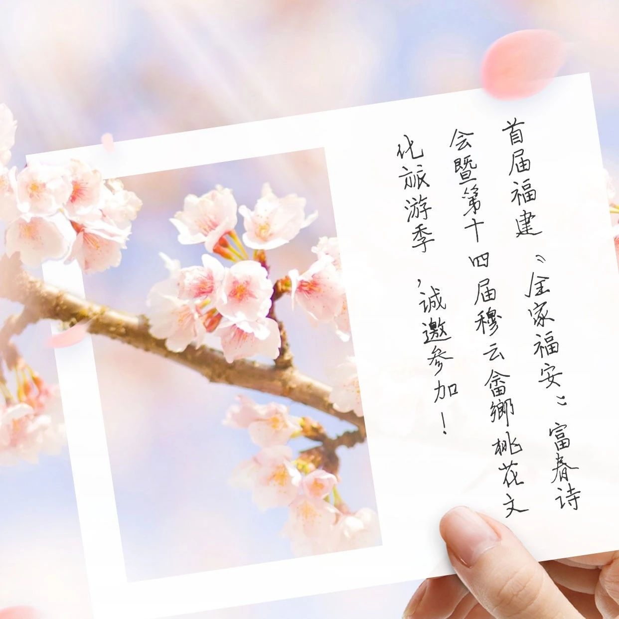 看过来！穆云乡桃花季带着攻略来了... ...