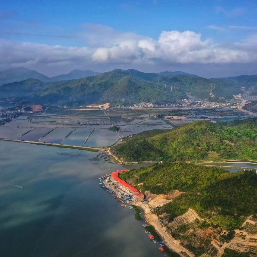 福地寻福·我的家乡我来推 | 溪尾镇：海产养殖“养”出致富路，这些海产藏着“黄金密码”