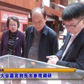 世界储能大会嘉宾到福安参观调研