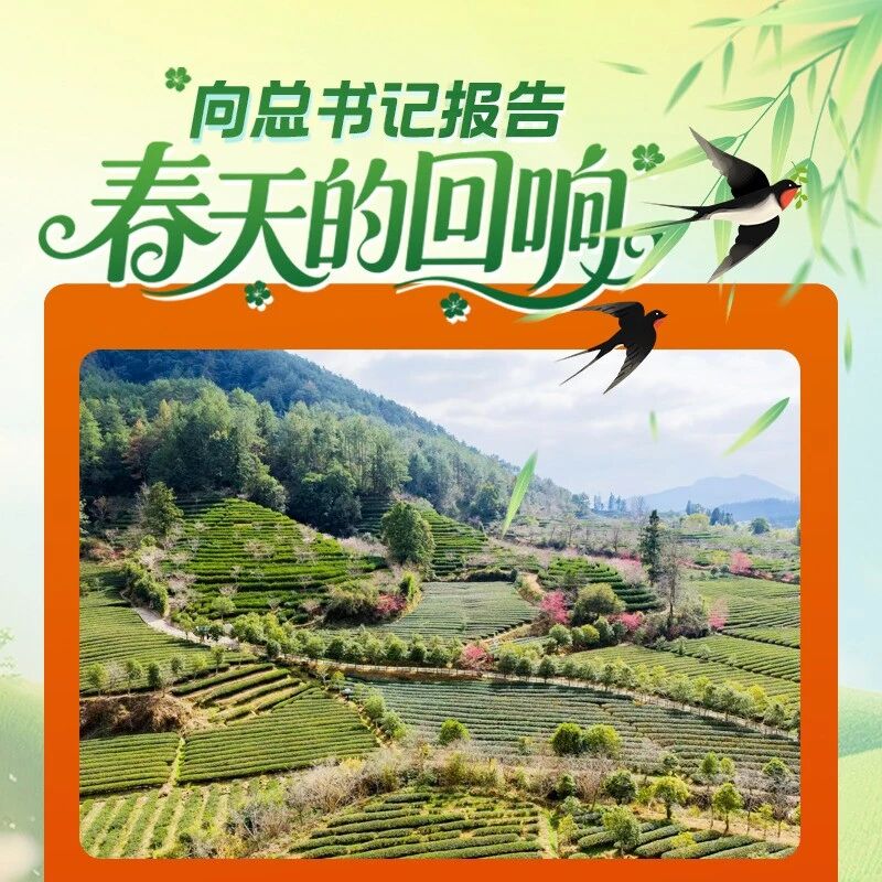 向总书记报告：八闽春天的回响