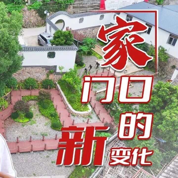 看！家门口的新变化——莲池老街焕新颜 古韵绽新姿