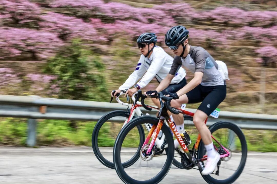 微信图片_20260322161518_152_207