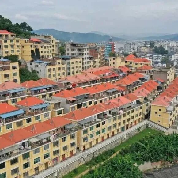 下岐村：渔民广场“橙色瀑布”迎客