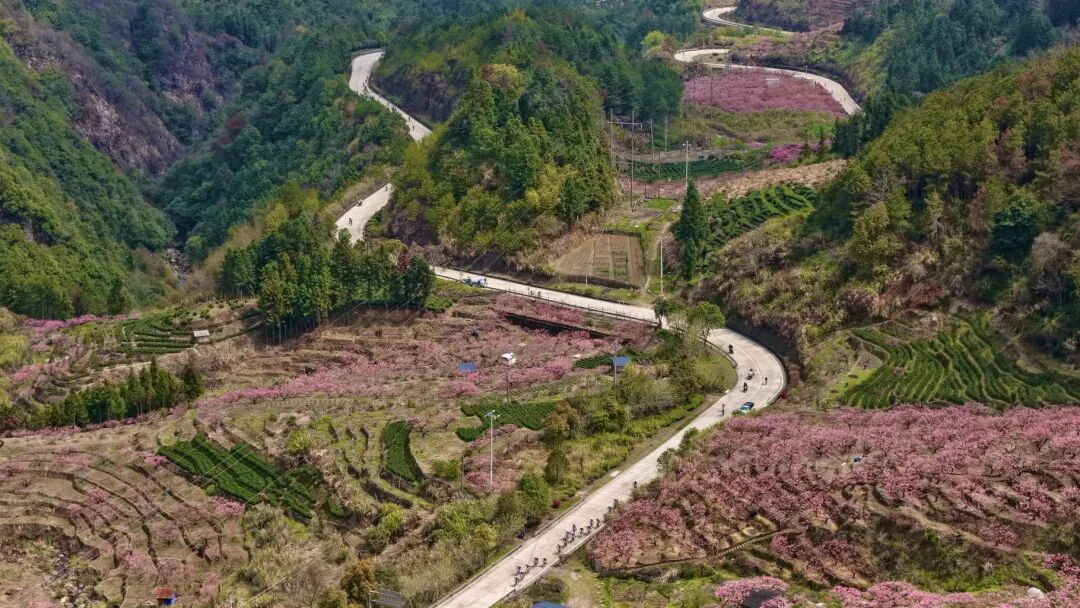 微信图片_20260322161524_155_207