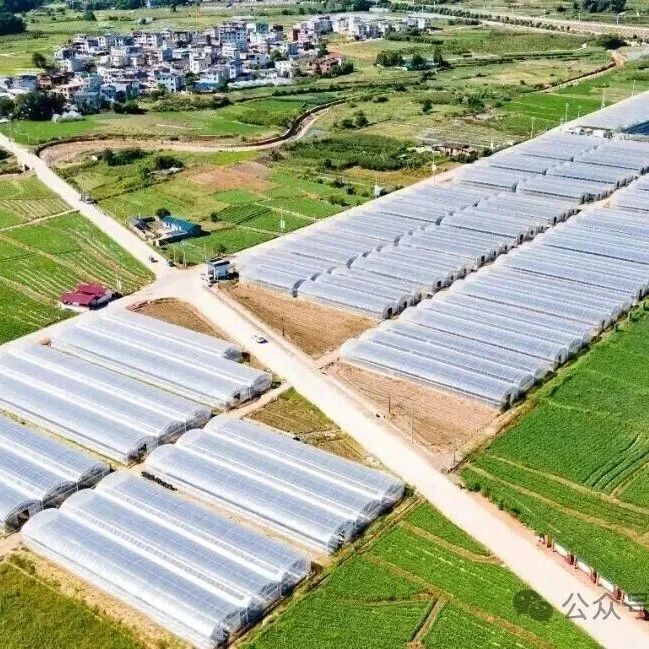 新华每日电讯聚焦福建｜山海新律动 田野新希望——从“新鲜事”看福建特色乡村振兴