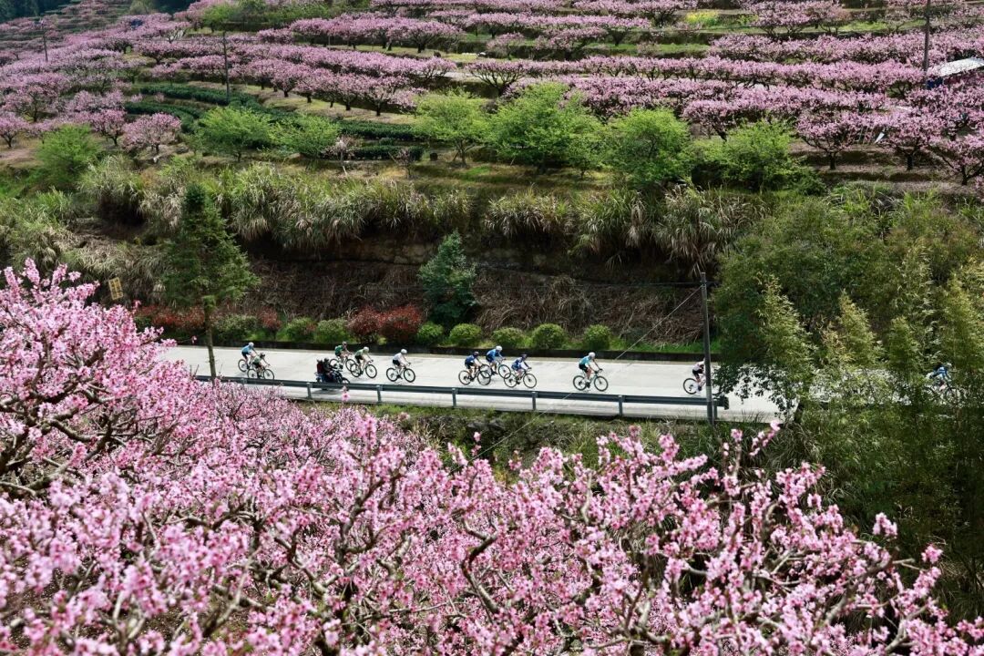 微信图片_20260322161515_149_207