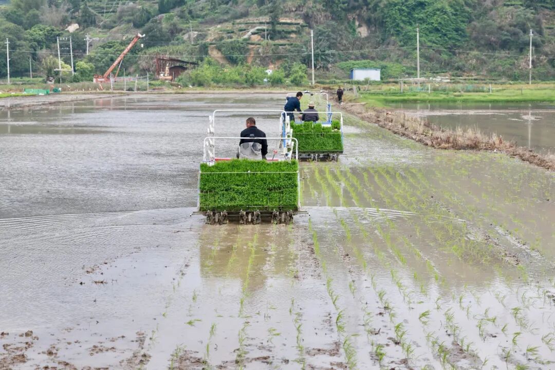 3d96cbcb39bc860175ba1ed99dbea8b4