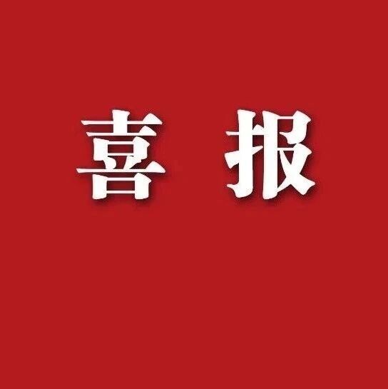喜报｜第二十一届“坦洋工夫”杯斗茶赛（上海站）审评结果出炉！
